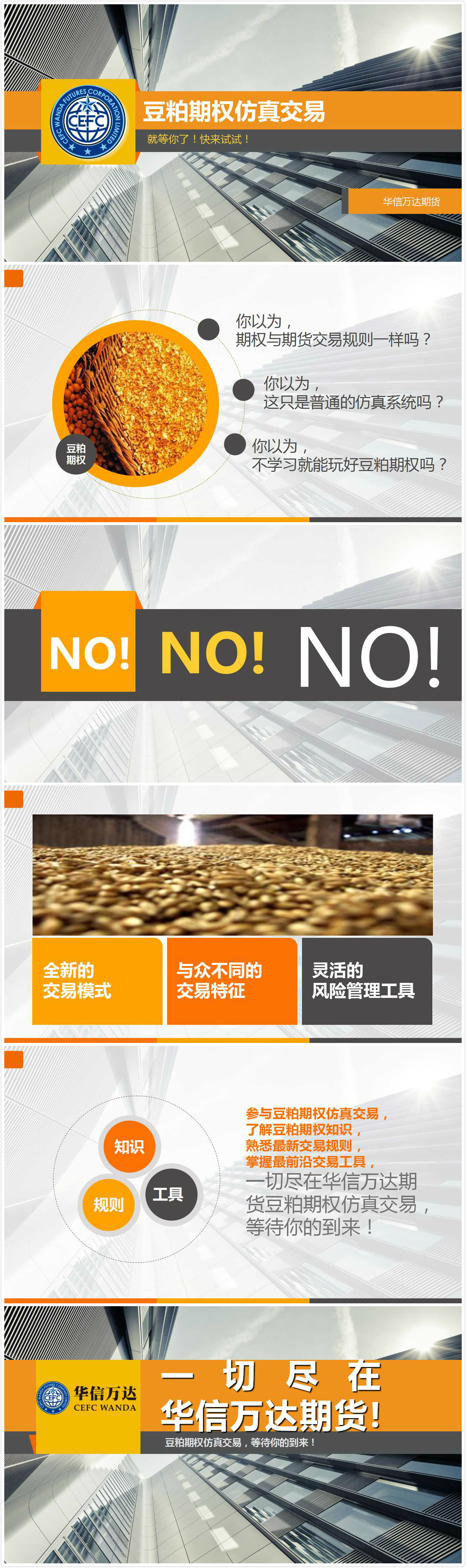 豆粕期权.jpg