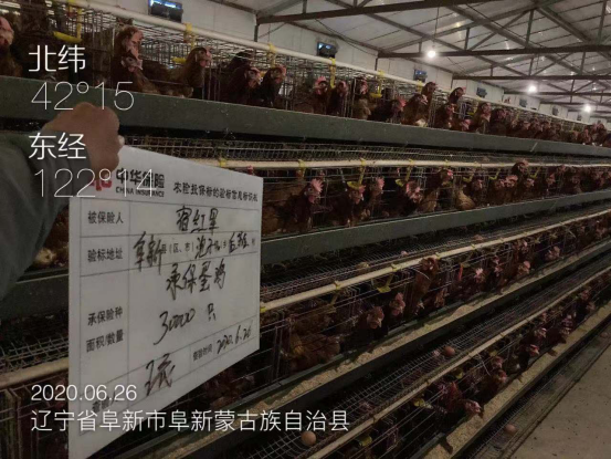 图片.png