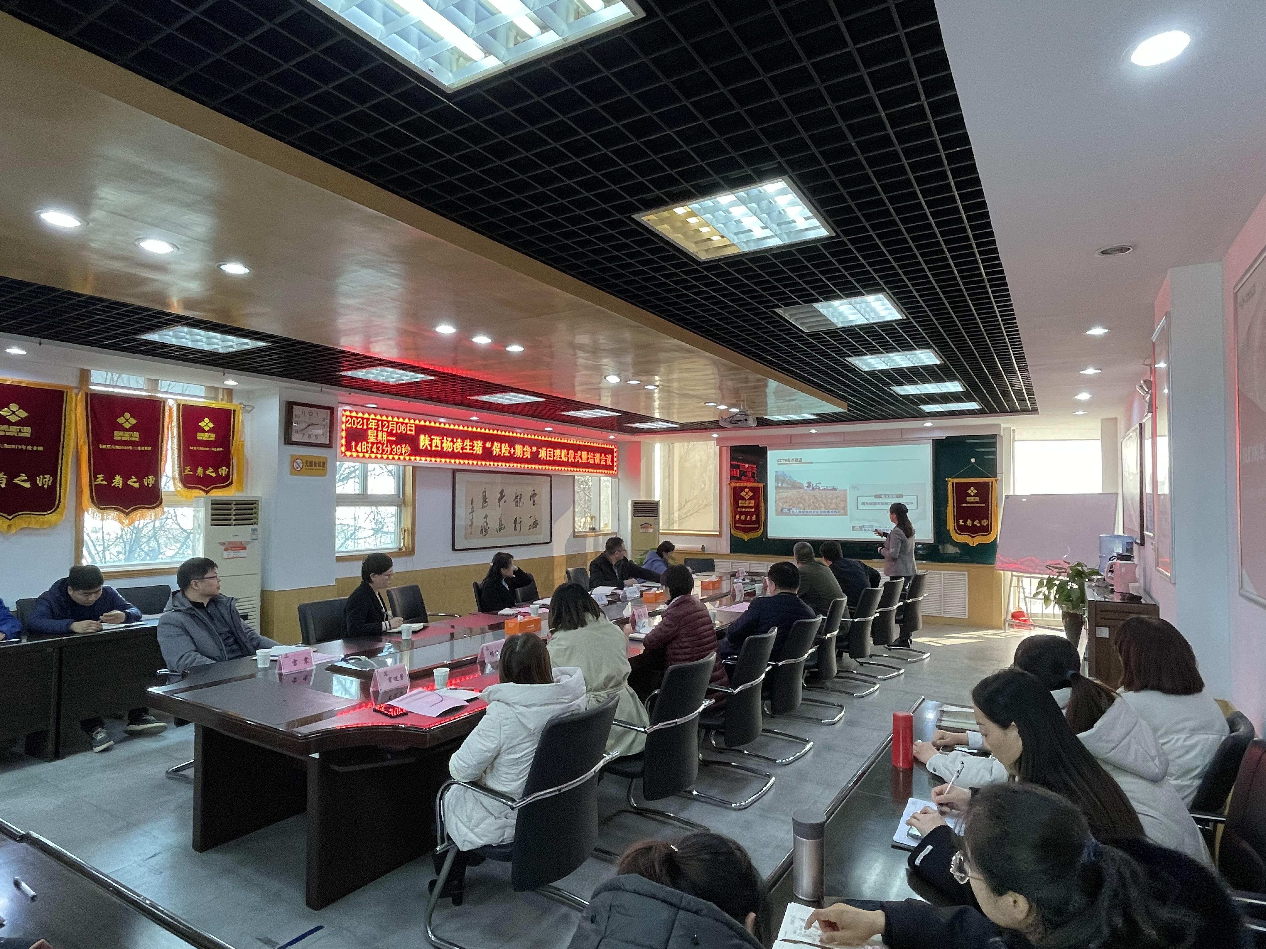 会议图.jpg